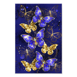 Foto Composición con mariposas de zafiro