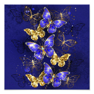 Foto Composición con mariposas de zafiro