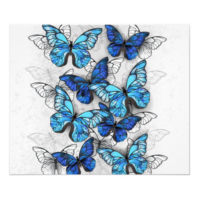 Foto Composición de las mariposas blancas y azules (Frente)