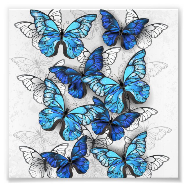 Foto Composición de las mariposas blancas y azules (Frente)