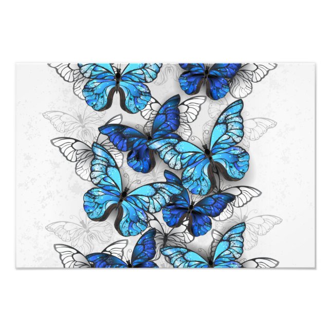 Foto Composición de las mariposas blancas y azules (Frente)