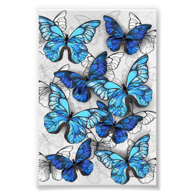 Foto Composición de las mariposas blancas y azules (Frente)