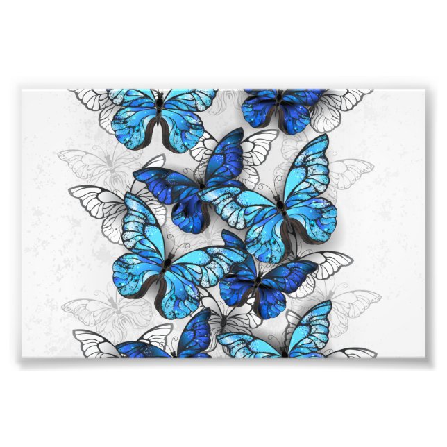 Foto Composición de las mariposas blancas y azules (Frente)