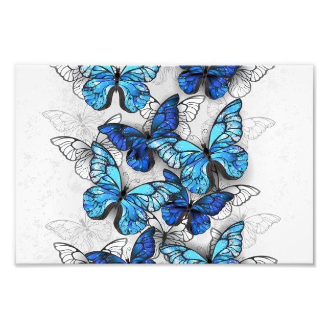 Foto Composición de las mariposas blancas y azules (Frente)