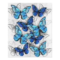 Composición de las mariposas blancas y azules