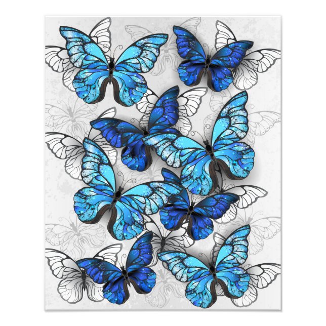Foto Composición de las mariposas blancas y azules (Frente)
