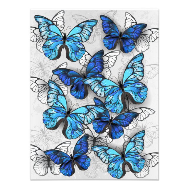 Foto Composición de las mariposas blancas y azules (Frente)