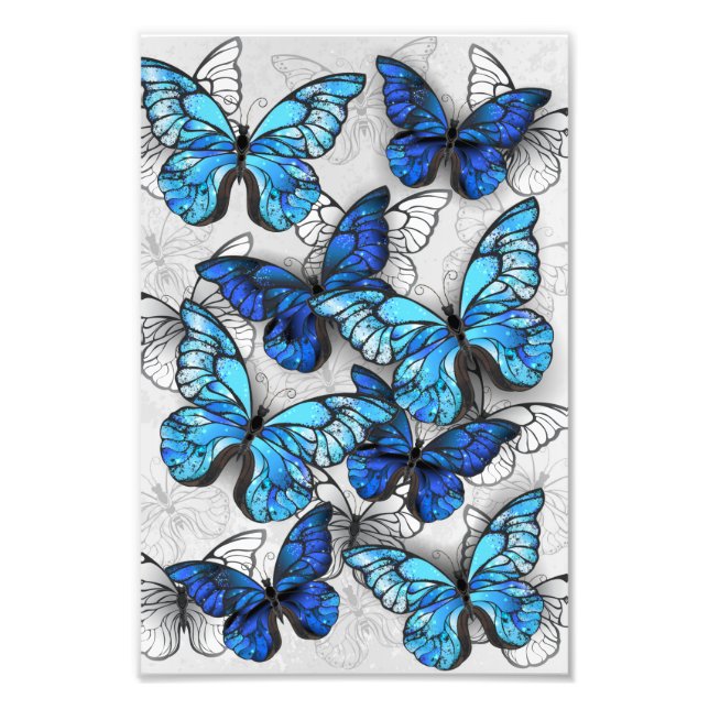 Foto Composición de las mariposas blancas y azules (Frente)