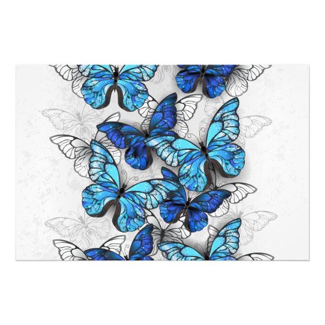 Foto Composición de las mariposas blancas y azules (Frente)