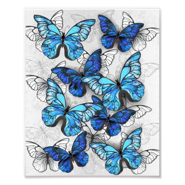 Foto Composición de las mariposas blancas y azules (Frente)