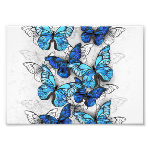 Foto Composición de las mariposas blancas y azules