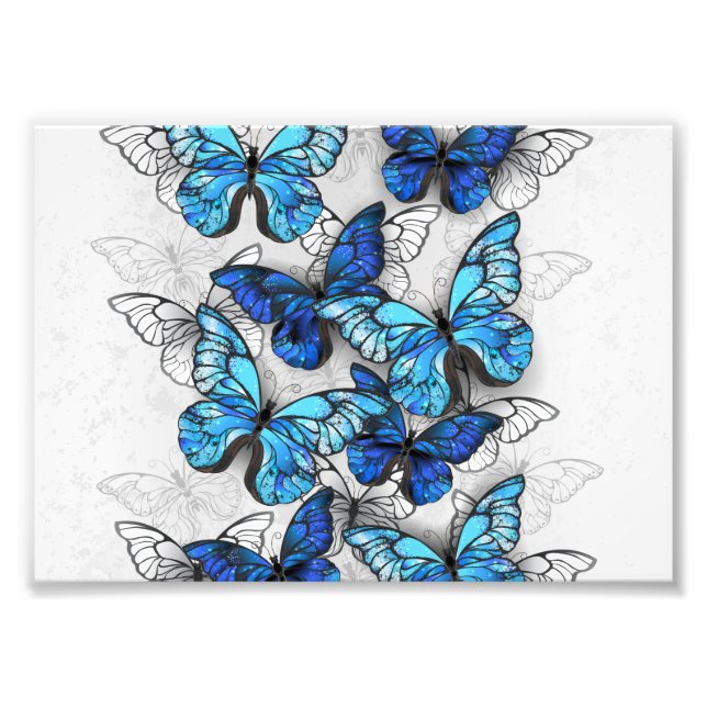 Foto Composición de las mariposas blancas y azules (Frente)