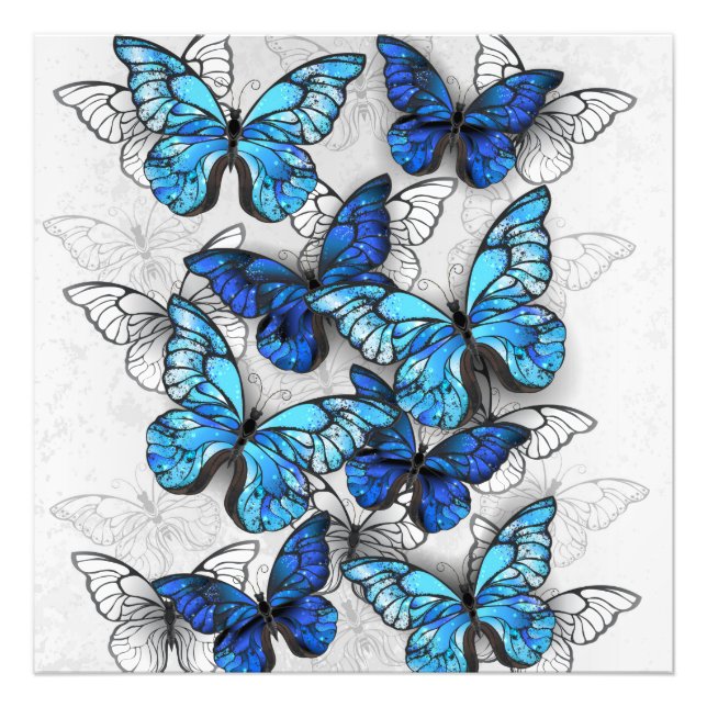 Foto Composición de las mariposas blancas y azules (Frente)