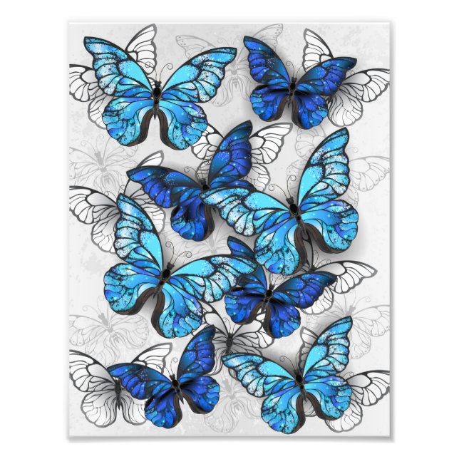 Foto Composición de las mariposas blancas y azules (Frente)