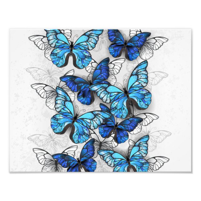 Foto Composición de las mariposas blancas y azules (Frente)