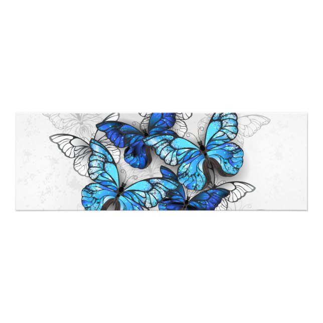 Foto Composición de mariposas blancas y azules (Frente)