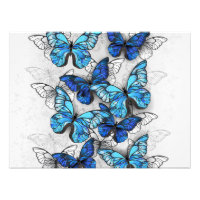 Composición de mariposas blancas y azules