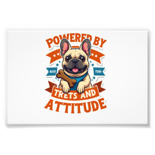 Foto Con Energía De Golosinas Y Actitud Bulldog Francés