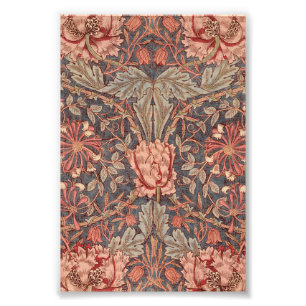 Foto Conejillo de miel, patrón floral de William Morris
