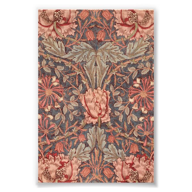Foto Conejillo de miel, patrón floral de William Morris (Frente)