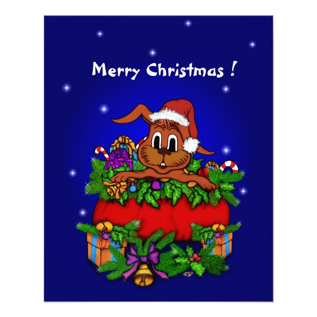 Foto Conejo de navidades (Frente)