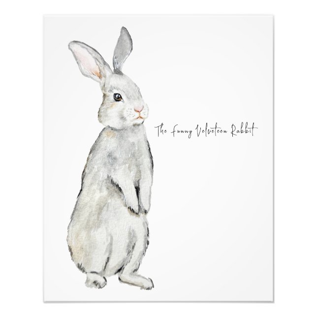 Foto Conejo de terciopelo divertido (Frente)