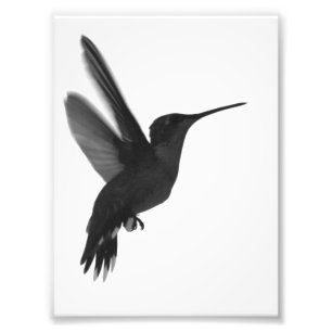 Foto Congelado a tiempo