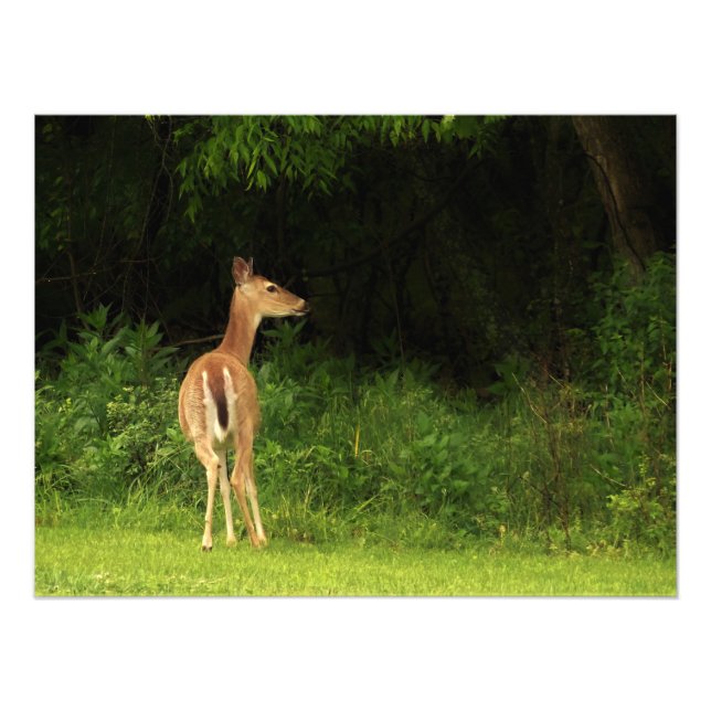 Foto Consideración cuidadosa (Frente)