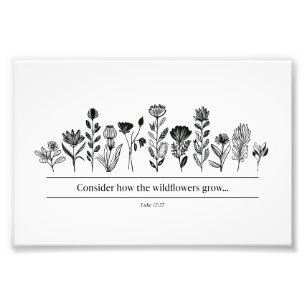 Foto Consideremos cómo crecen las flores silvestres