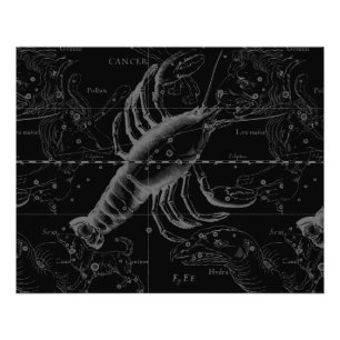 Foto Constelación de cáncer Hevelius 1690 Decor