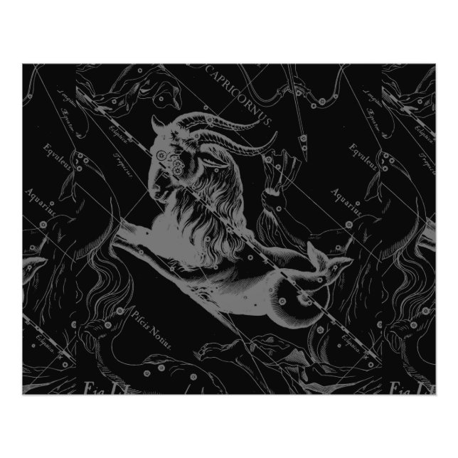 Foto Constelación de Capricornio Hevelius 1690 en negro (Frente)