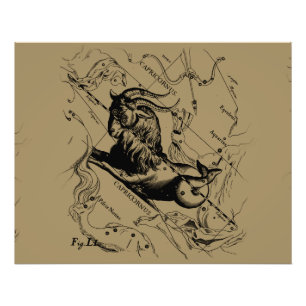 Foto Constelación de Capricornio Hevelius 1690 en Taupe