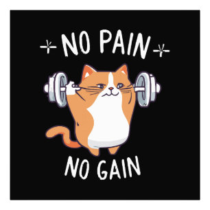 Foto ¡Construyamos Músculo! ¡Hora del Gimnasio!