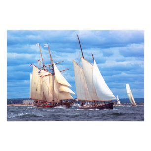 Foto Contenedores precoces