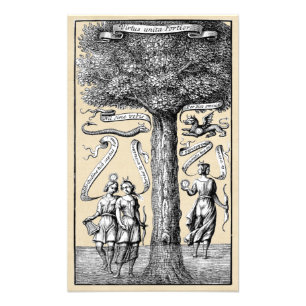 Foto Contrarios alquímicos unidos por la conjunción