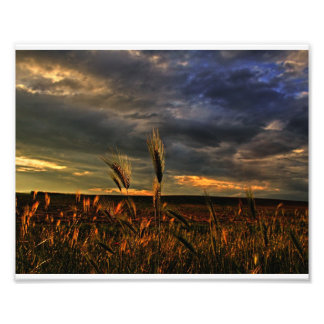 Foto Conversación con el viento