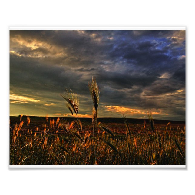 Foto Conversación con el viento (Frente)