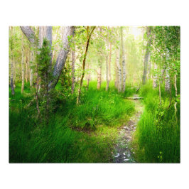 Foto Convict Lake Aspens and Lush Grass Photo Wall Art