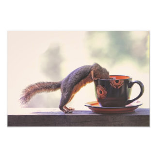 Foto Copa de ardilla y café