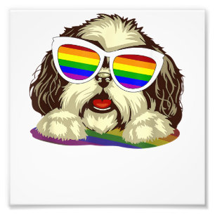 Foto Copia del orgullo gay de la bandera LGBT arcoiris