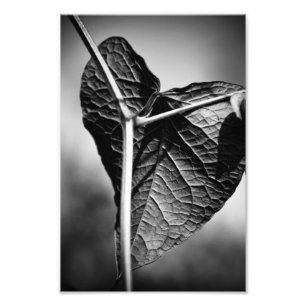 Foto corazón crucificado