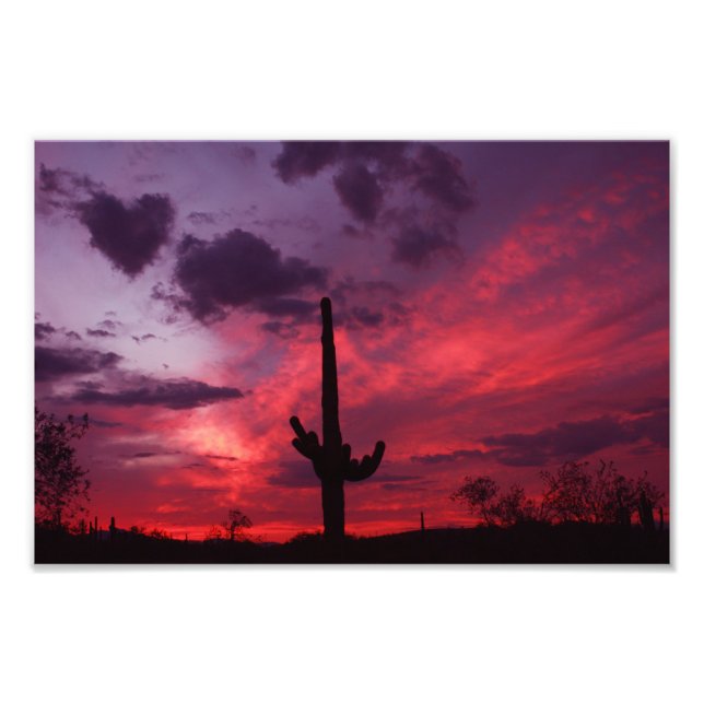 Foto Corazón de Arizona (Frente)