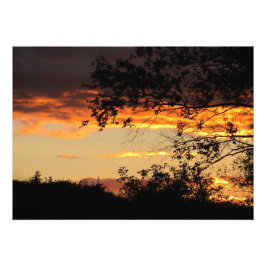 Foto Corazón de LOve