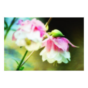 Foto Corazones sangrantes de Shirley Taylor