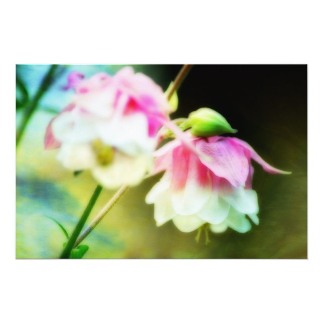 Foto Corazones sangrantes de Shirley Taylor (Frente)