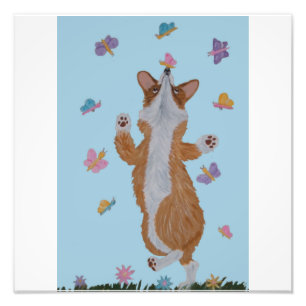 Foto Corgi galés bailando con mariposas