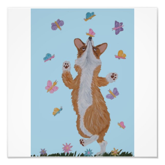 Foto Corgi galés bailando con mariposas (Frente)
