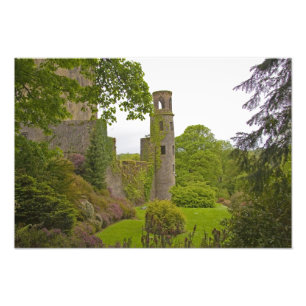 Foto Cork, Irlanda. El infame Castillo Blarney 2