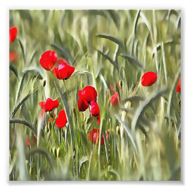 Foto Corn Poppies (Frente)