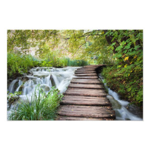 Foto Corriente en el bosque